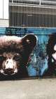 Street Art Tour